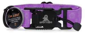 Spotted! PRO Halsband – Honden halsband met QR-penning – Halsband met magneetsluiting – Waterproof – Maat XL – 70 cm - Paars