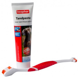 Afbeelding Beaphar Tandpasta & Tandenborstel voor hond en kat Per stuk door DierenwinkelXL.nl