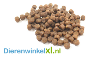Afbeelding Bikkel - Kitten Premium door DierenwinkelXL.nl