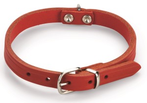 Lederen honden halsband rood - 27 cm x 10 mm