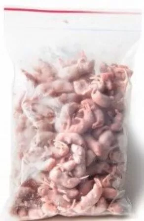 Een foto van een Kiezebrink – Ingevroren Baby Muis ca. 2gr.