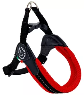 Een foto van een Tre Ponti Mesh Fibbia Rood Ref Verstelbaar