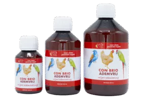 Een foto van een Vita Vogel – Con Brio Ademvrij