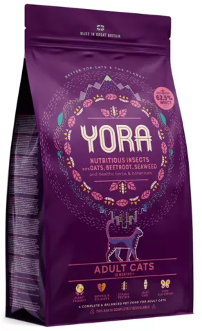 Een foto van een Yora – Cat Adult