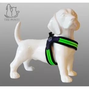 Een foto van een Tre Ponti – Fibbia Fluopop – Groen