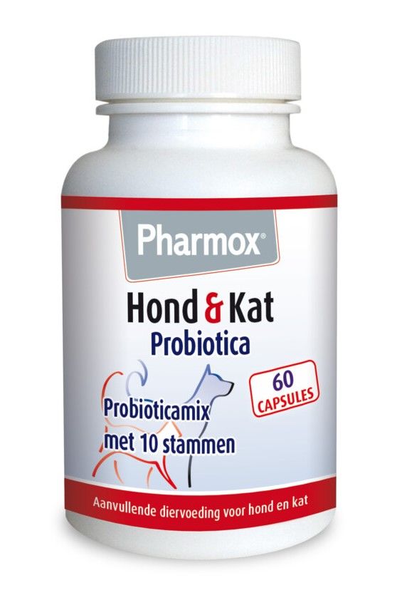 Pharmox Hond & Kat Probiotica | Ondersteunt Darmflora & Spijsvertering | 100% Natuurlijk | Hondensupplementen | 60 capsules