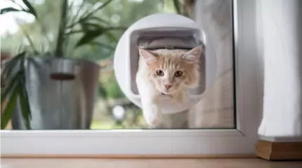 Kattenluiken en omheiningssystemen