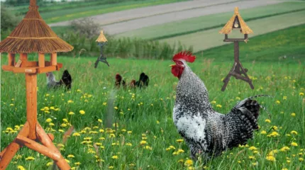 TUIN- EN ERFDIEREN