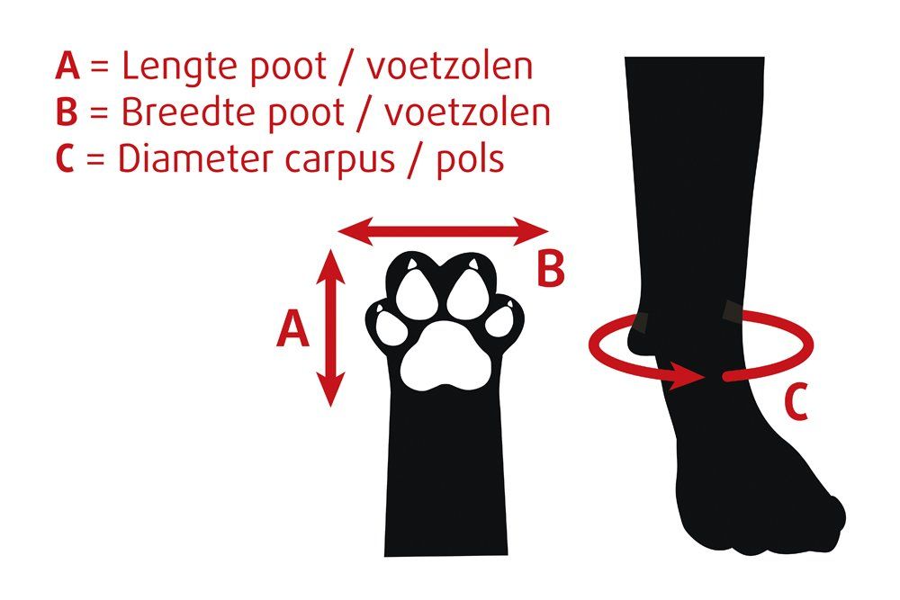 Beeztees - Paar Beschermingsschoenen Zwart - Afbeelding 4