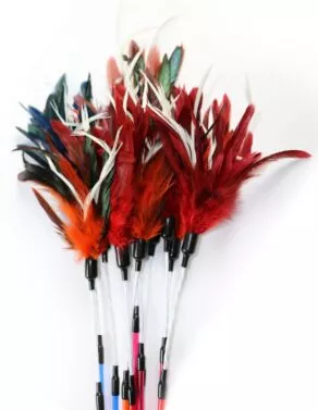 Een foto van een Schulze – Day Dream Teaser