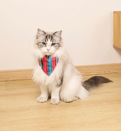 M-pets - Jazz Stripes Bandana Collar - Afbeelding 3