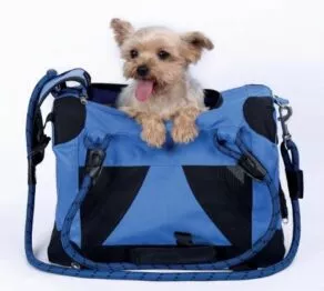 Een foto van een M-Pets – Remix Transporttas voor in vliegtuig, Blauw