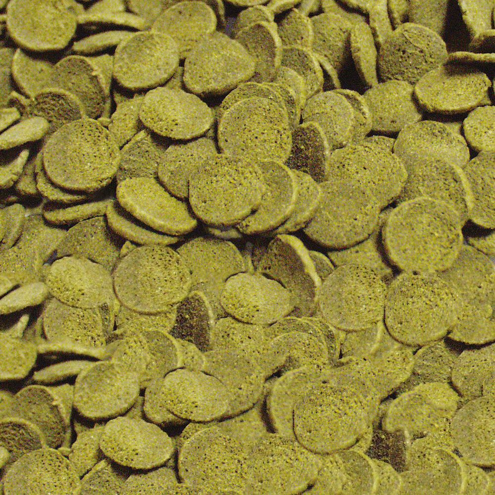 Sera - Pleco Chips 100 Ml (voorheen Wels Chips) - Afbeelding 2