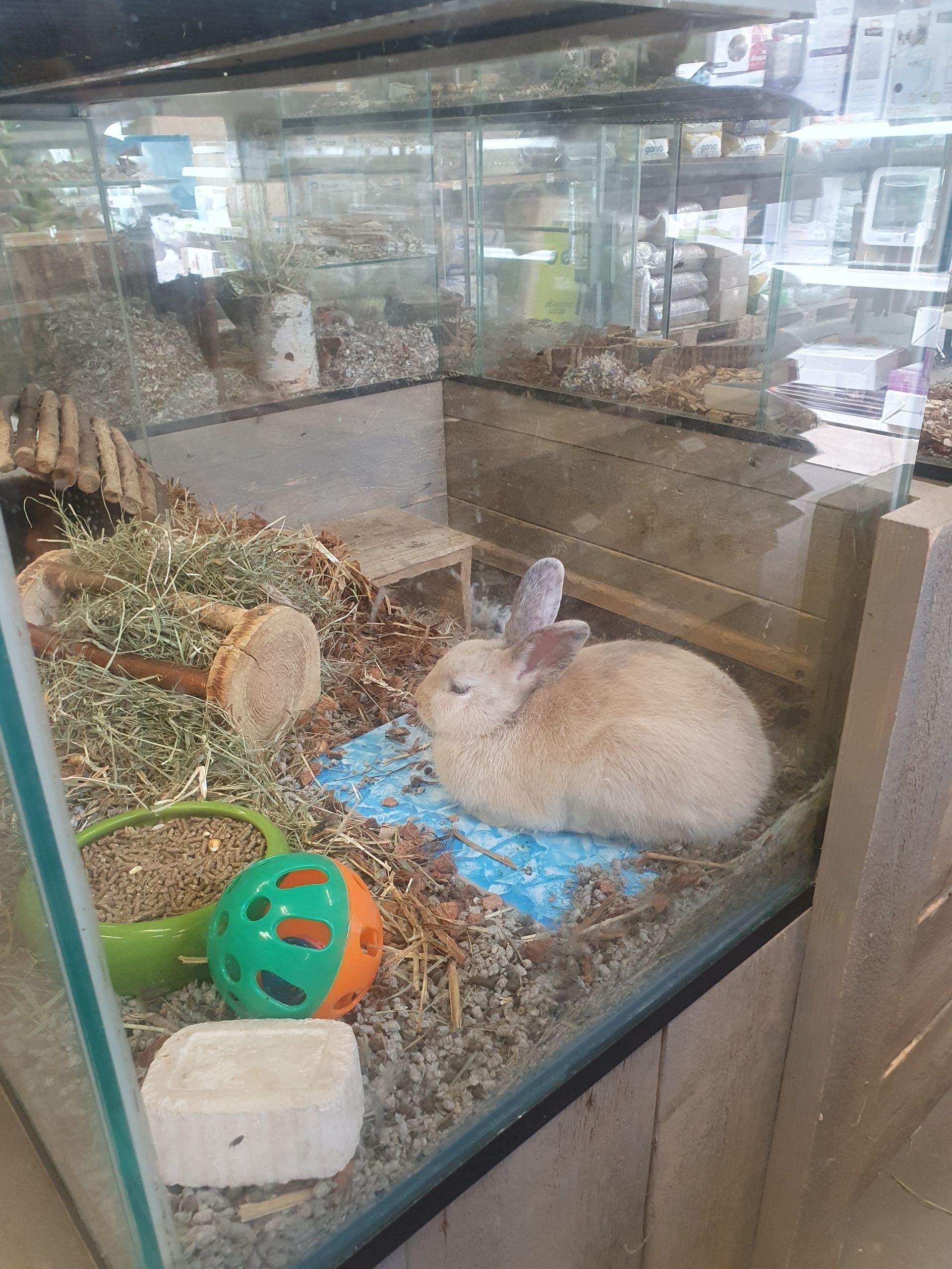 Trixie - koelplaat voor knaagdieren - Afbeelding 2