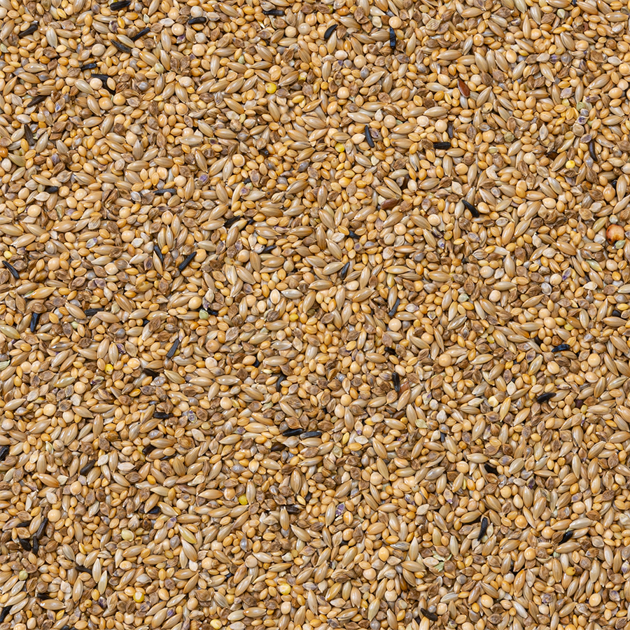 Deli Nature - Zebravink Supreme (Nr. 42), 20kg afbeelding