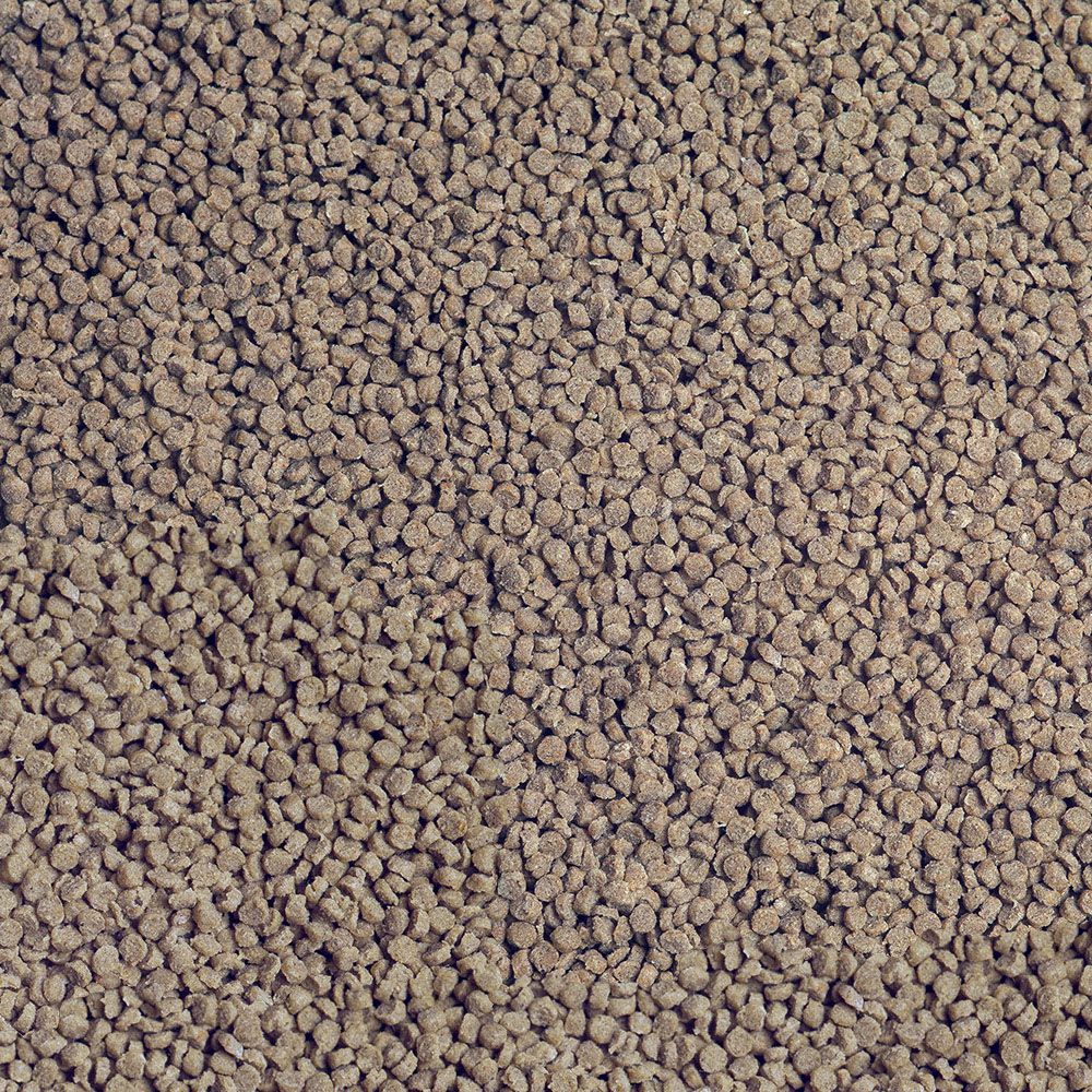 Sera - Cichlid Tanganyika Granules - Afbeelding 2