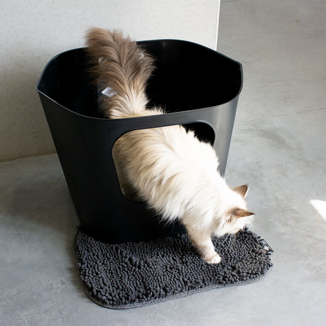 D&D Home -Kattenbakmat Daisy, 50x34x2,5cm - Afbeelding 2