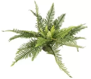 Een foto van een Terra Della – Kunstplant Varen Groen, XLarge