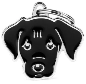 Een foto van een Myfamily – Black Labrador