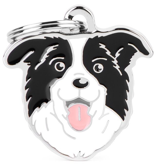 Myfamily - Border Collie