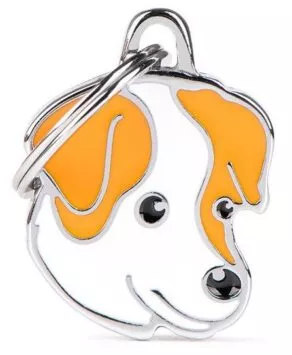 Een foto van een Myfamily – White And Brown Jack Russell