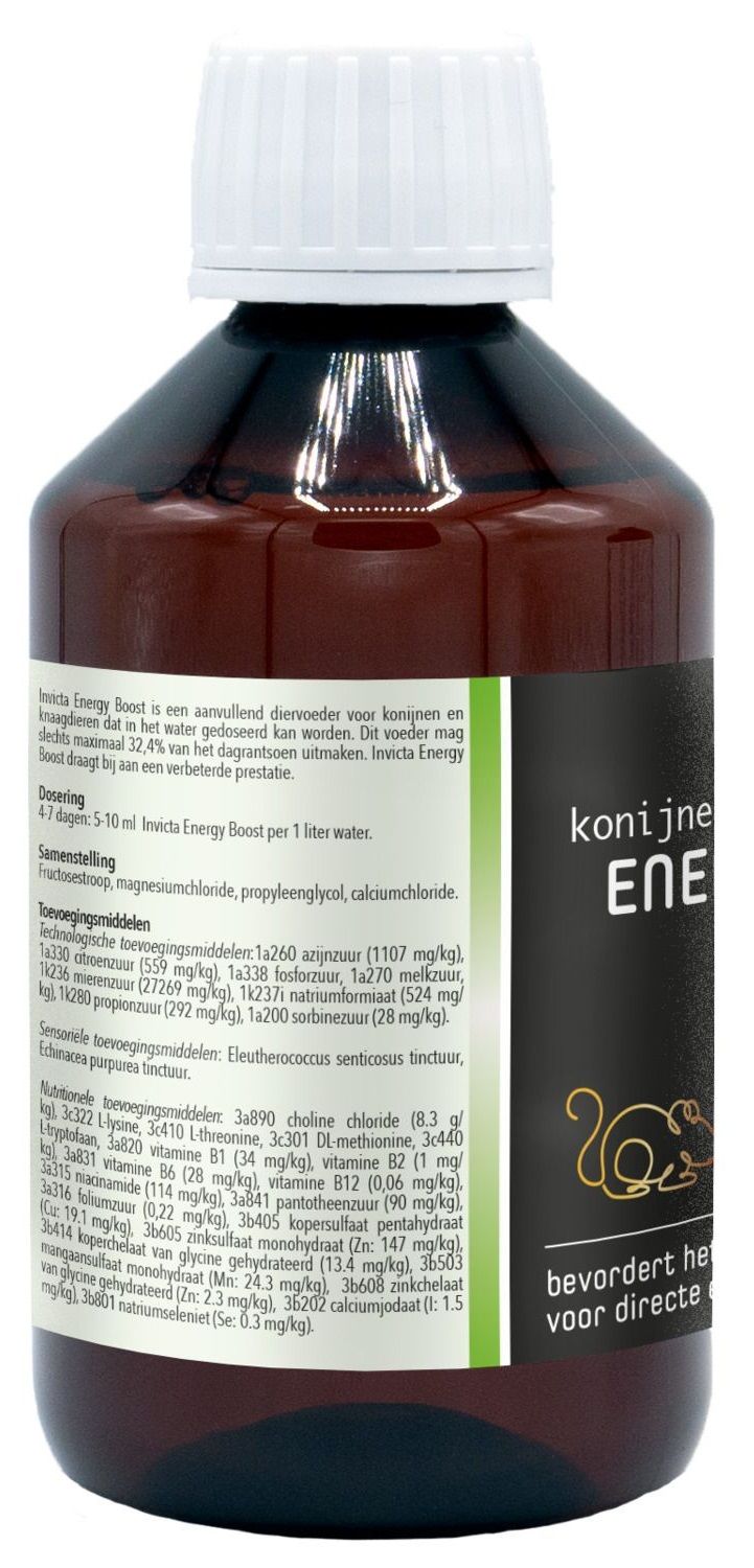 Invicta - Energy Boost – DierenwinkelXL