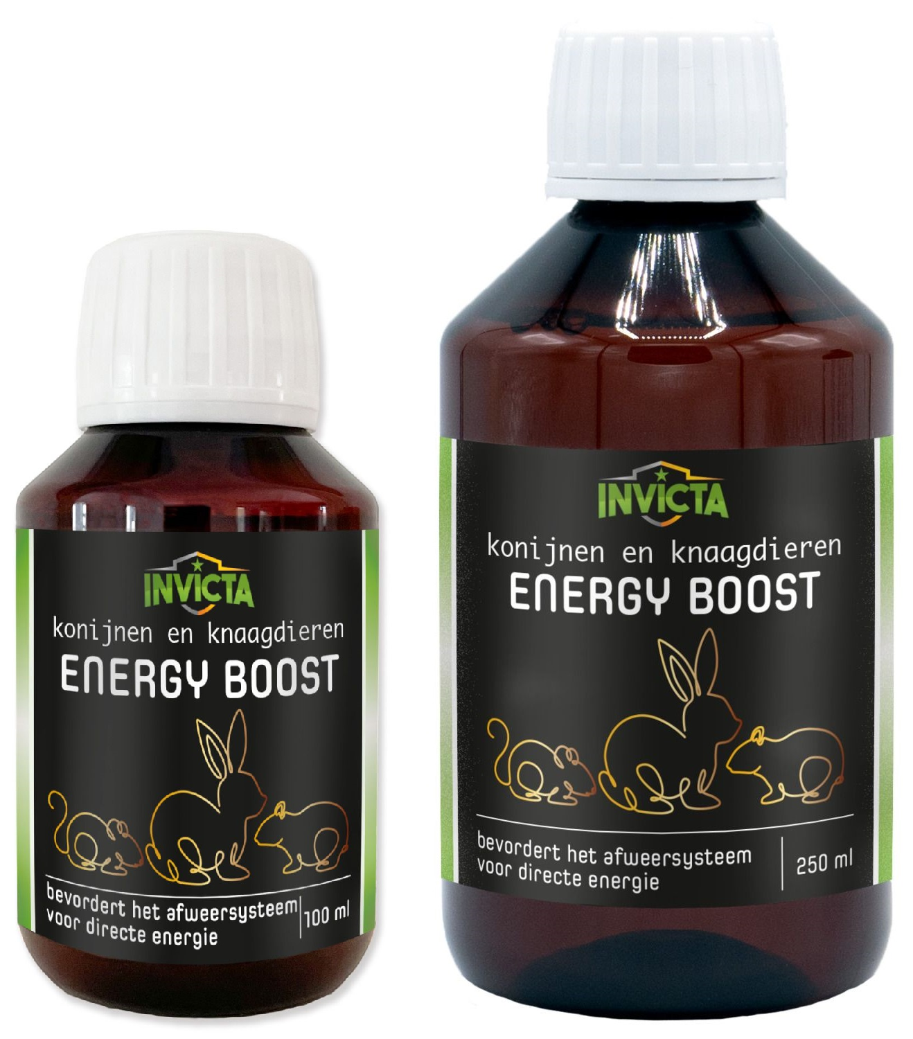 Invicta - Energy Boost – DierenwinkelXL