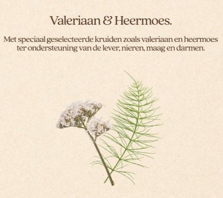 Vitalstyle - Kat Senior - Afbeelding 3