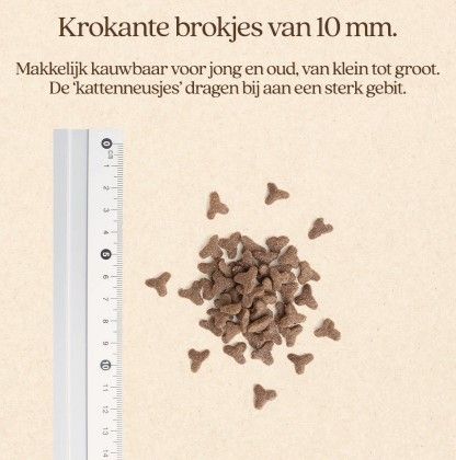 Vitalstyle - Kat Blaasgruis - Afbeelding 2