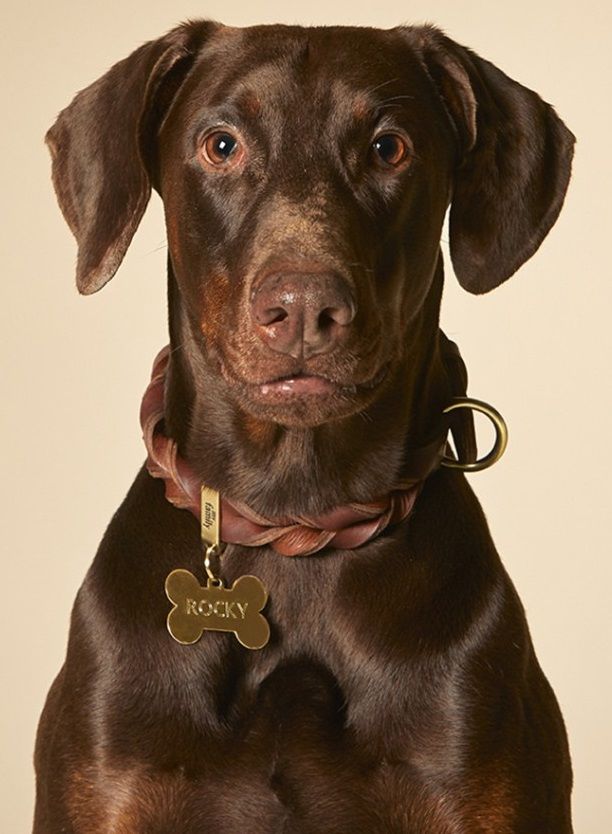 Myfamily - Big Bone Golden Brass - Afbeelding 3