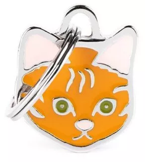 Een foto van een Myfamily – Red European Shorthair