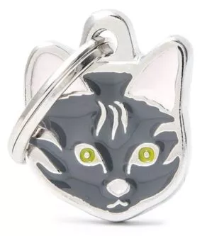 Een foto van een Myfamily Tabby European Shorthair