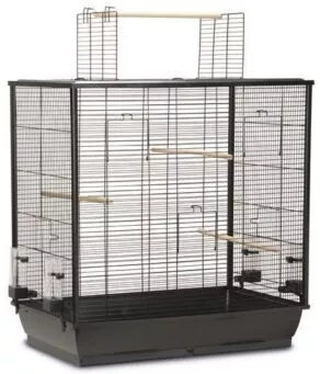 Een foto van een Beeztees – Vogelkooi Fiona Open Zwart 70x40x80