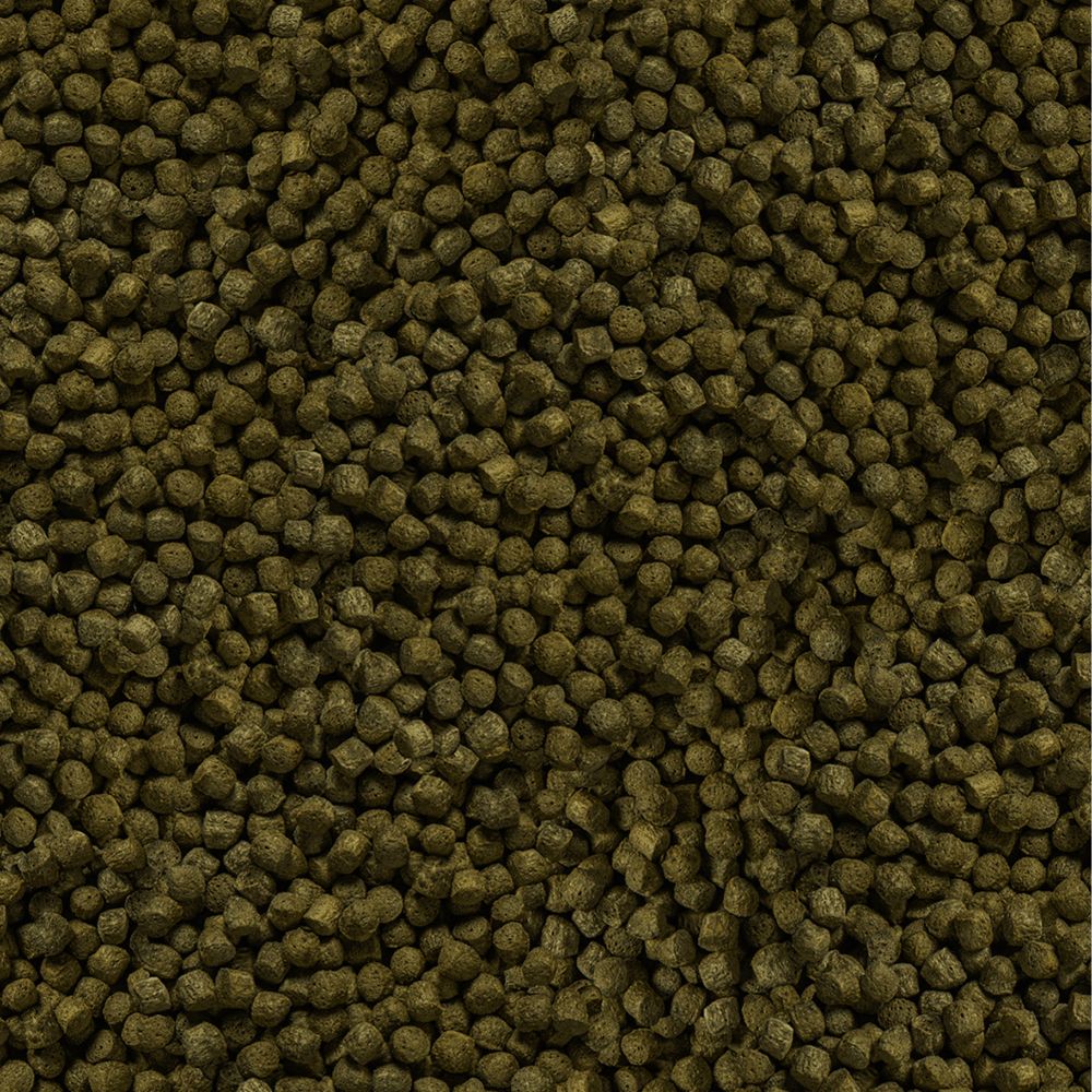 Sera - Koi Color Medium - Afbeelding 2
