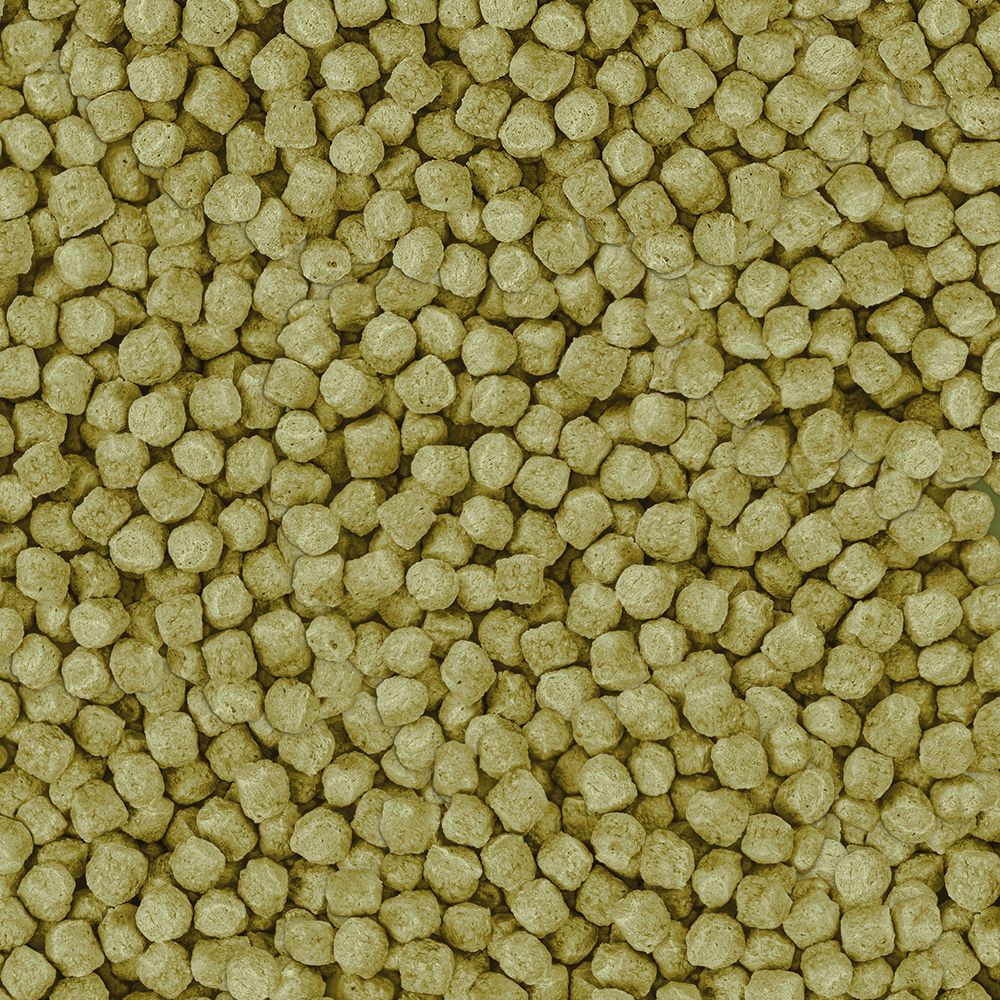 Sera - Koi Pellets, 5kg - Afbeelding 2