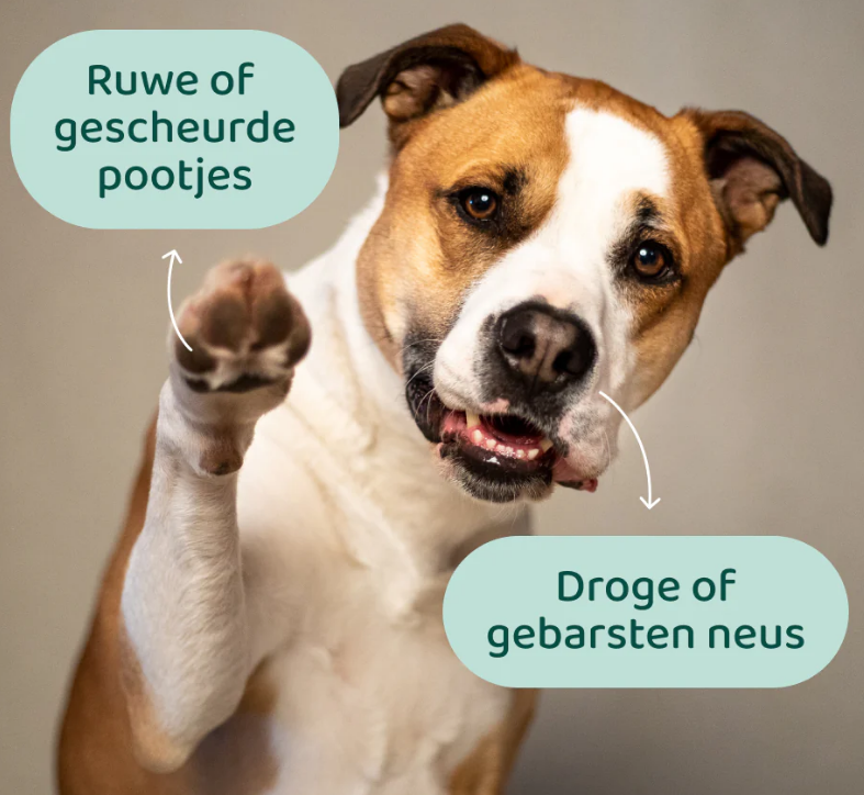 Dogsuppy - Neus - Pootbalsem, 125ml - Afbeelding 2