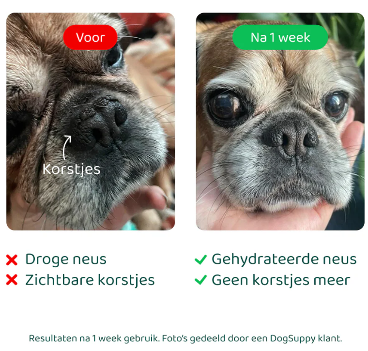 Dogsuppy - Neus - Pootbalsem, 125ml - Afbeelding 3