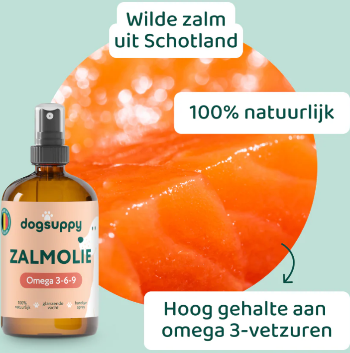 Dogsuppy - Zalmolie, 250ml - Afbeelding 2