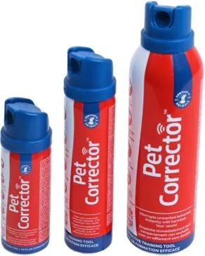 Een foto van een Company of Animals – Pet Corrector