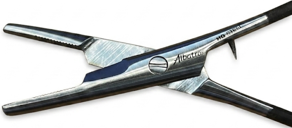 Albatros - Adertang/Schaar - Afbeelding 2
