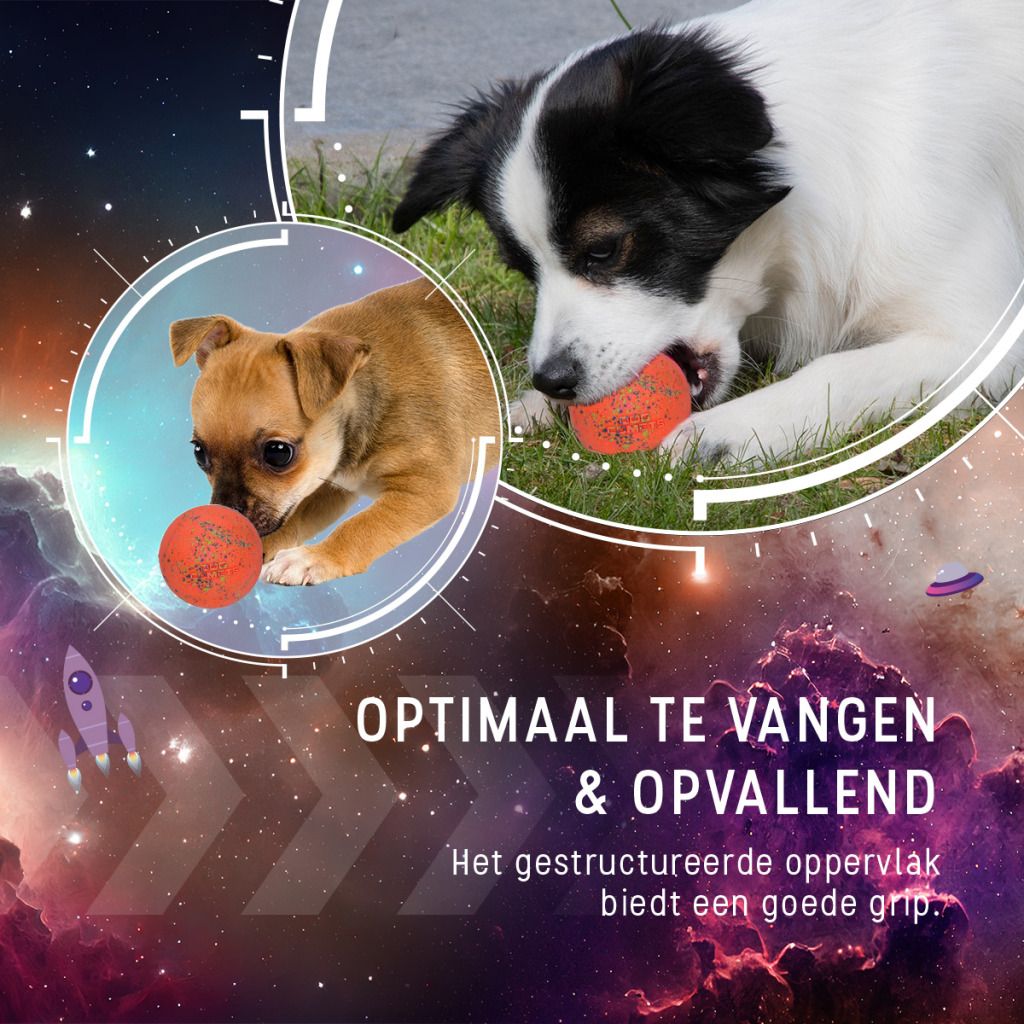 Dog Comets - Stardust Oranje - Afbeelding 4