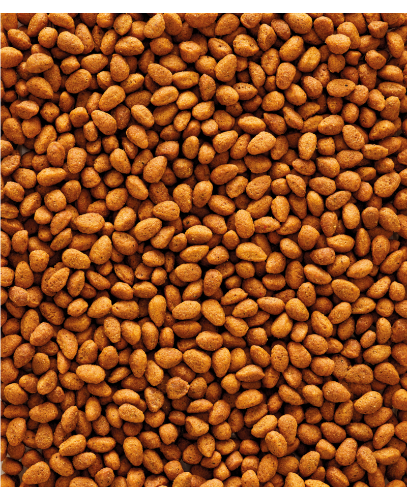Nutribird - G14 Original Grote Parkiet - Afbeelding 3