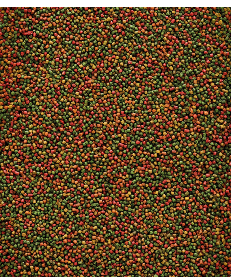Nutribird - C15 Kanarie Onderhoudsvoer - Afbeelding 2
