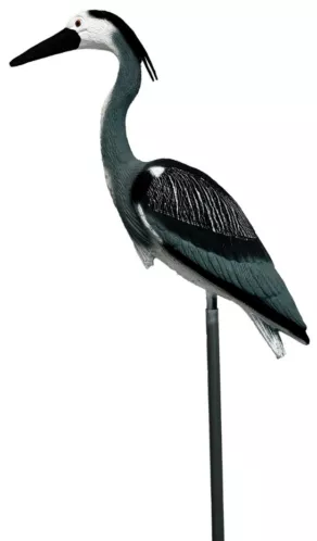 Een foto van een Superfish – Deco Vogel Reiger
