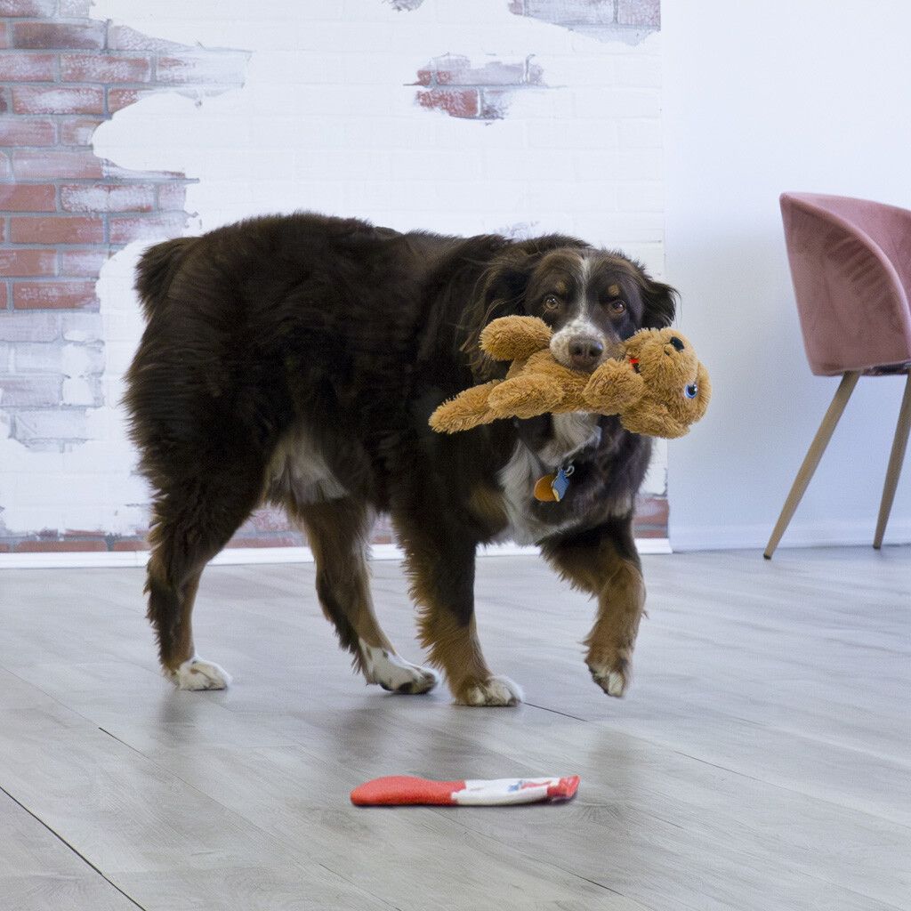 Kong - Comfort Pups Goldie, Medium - Afbeelding 2