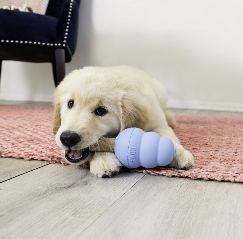 Kong - Ziggies Enhanced Puppy - Afbeelding 3