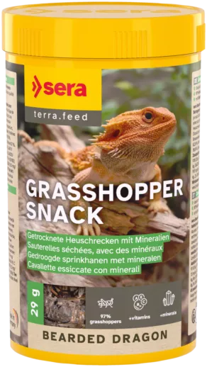 Een foto van een Sera – Bearded Dragon Grasshopper Snack, 29gram