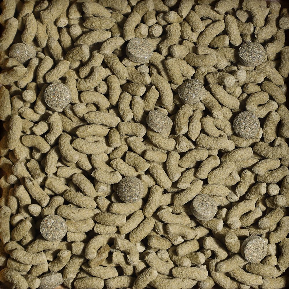 Sera - Tortoise Adult Vital Mix - Afbeelding 2