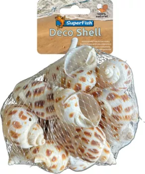 Een foto van een Superfish – Deco Schelp Spiraal Gestreept, 200gram